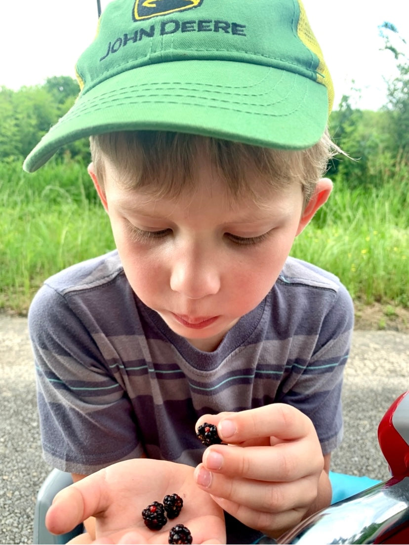 A young kid exploring the outdoors. Mesmerized by the sweet taste of blackberries 