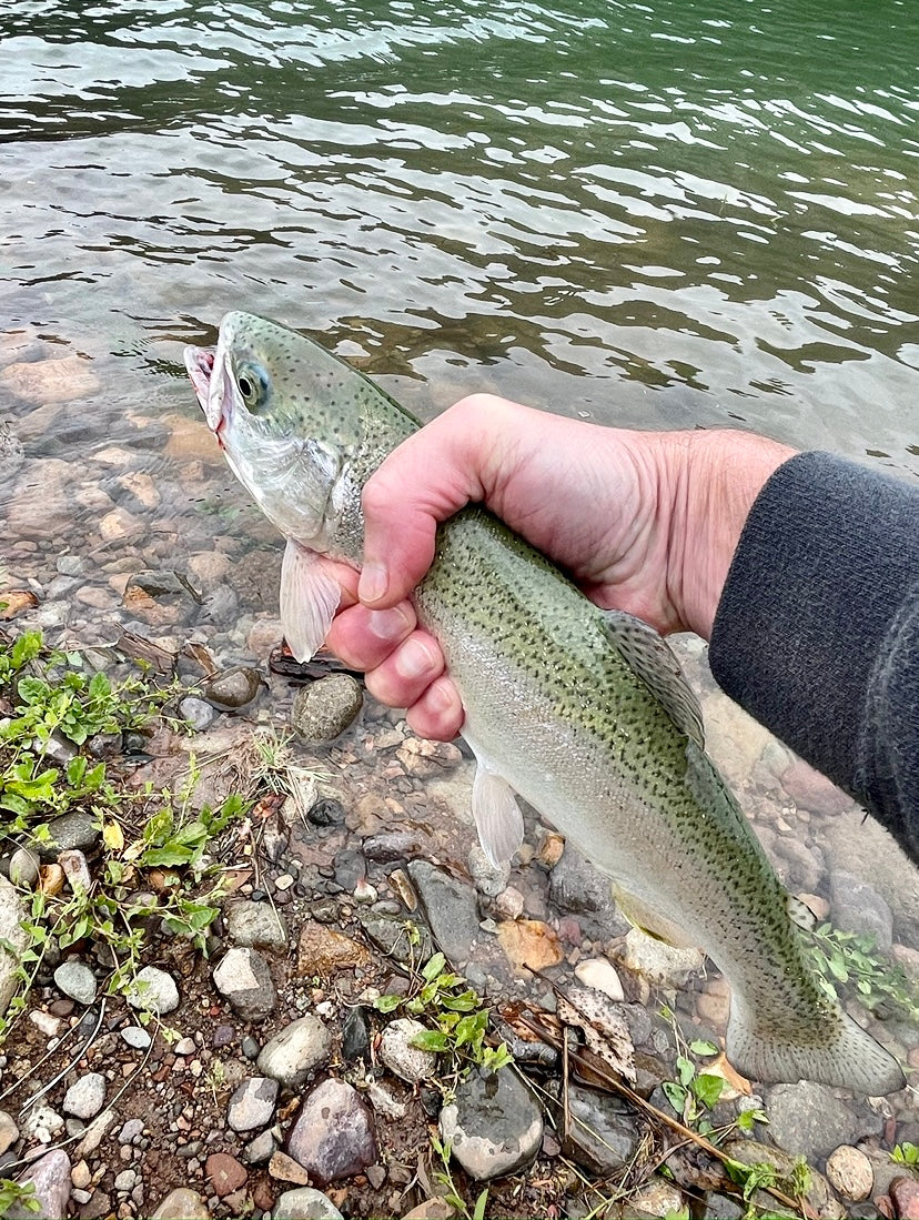 Free Fishing Weekend in Arkansas