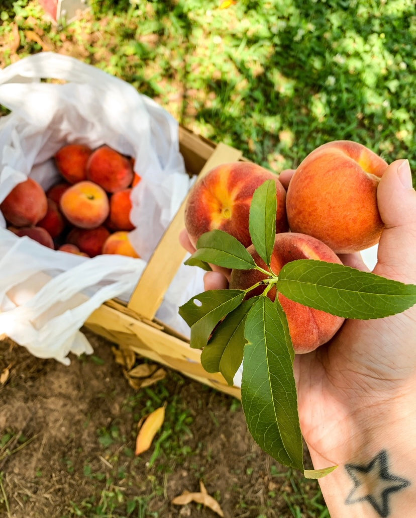 Just Peachy! - A Homemade Peach Ice Cream Recipe