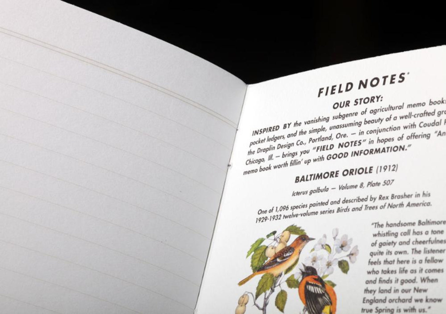 Our 64th Quarterly Edition is “The Birds and Trees of North America” Edition, featuring the artwork of Rex Brasher (1869–1960). We’ve added a third 3-Pack to the series and are restocked with the original two.

